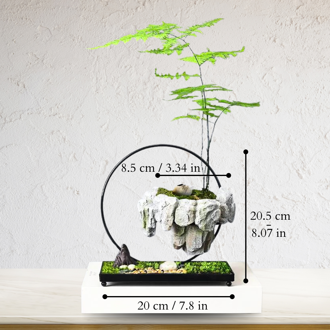 Magnetic Floating Planter with 360° Rotation - EleganceStone 1