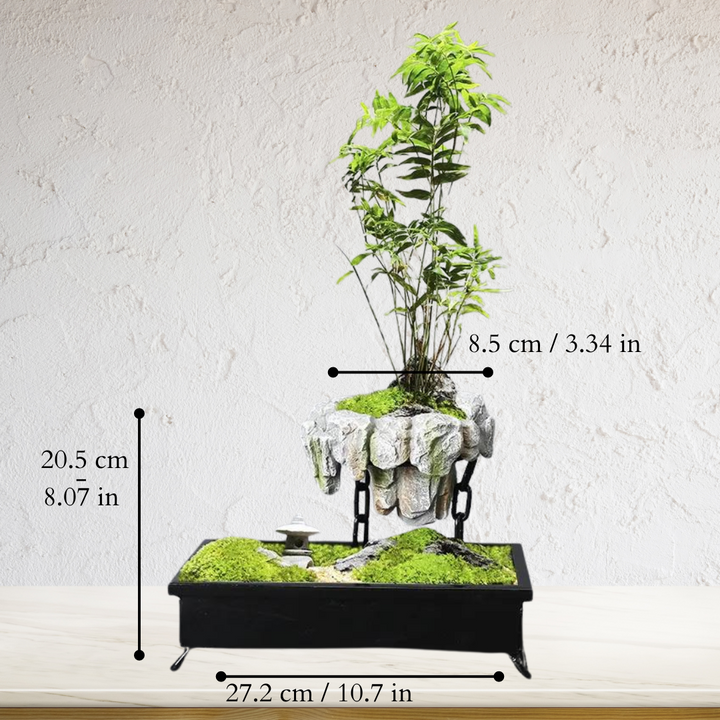 Magnetic Floating Planter with 360° Rotation - EleganceStone 5